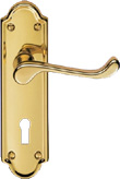 carlisle brass lever handle