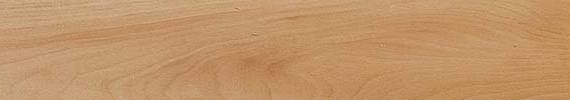 beech wood