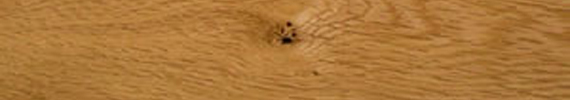 european oak wood